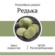 Редька - полезные свойства
