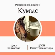 Кумыс - полезные свойства