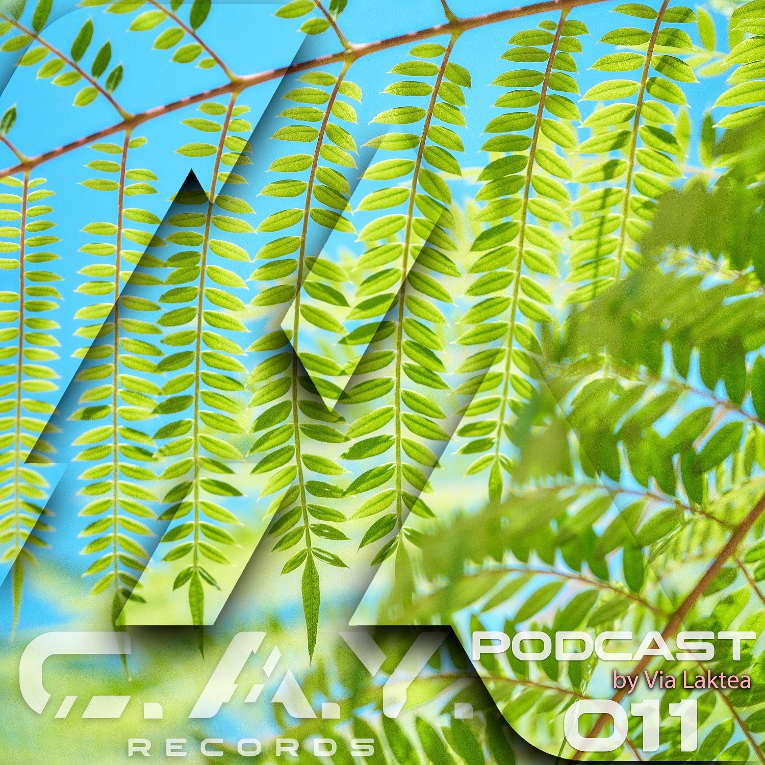 (011) C.A.Y. Records podcast by Via Laktea episode artwork