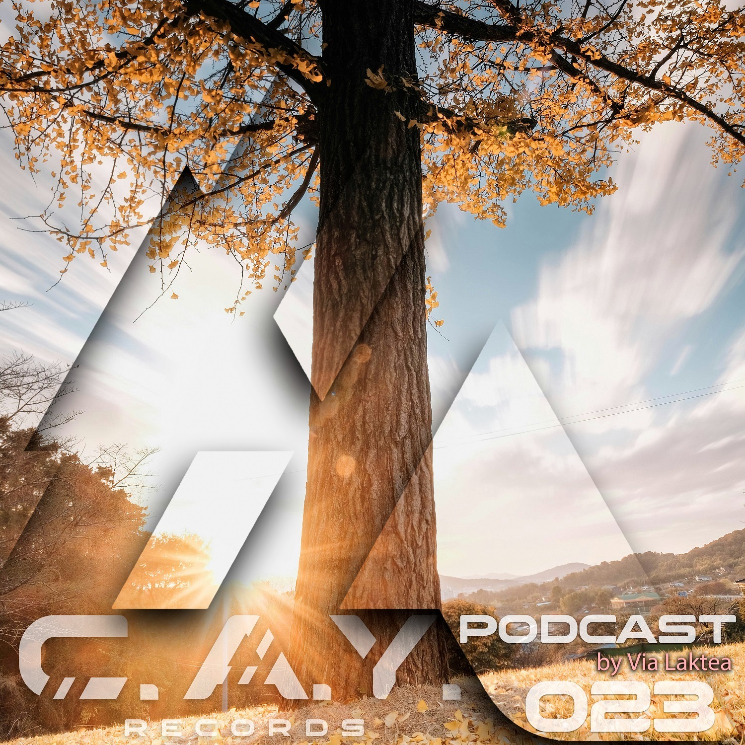 (023) C.A.Y. Records podcast by Via Laktea episode artwork