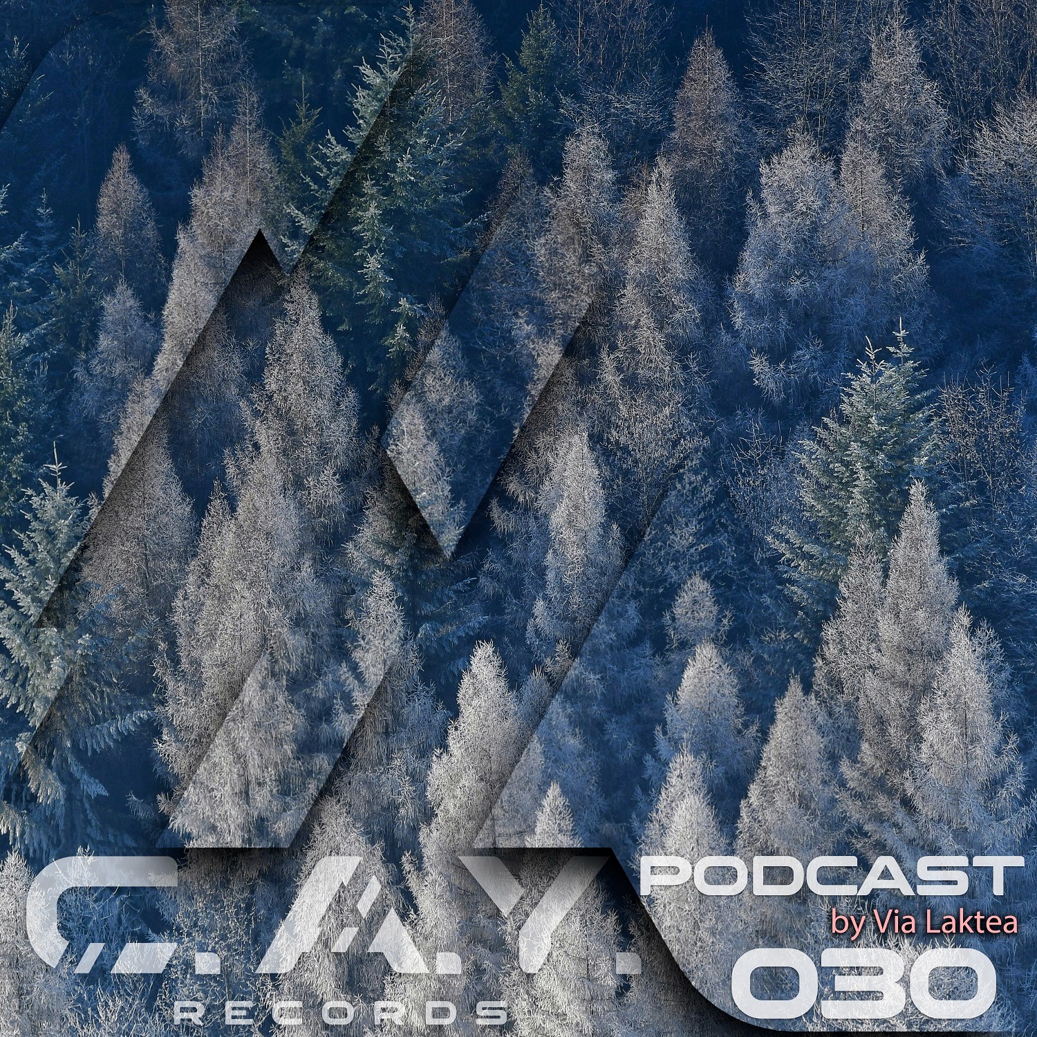 (030)(TOTY) C.A.Y. Records podcast by Via Laktea episode artwork