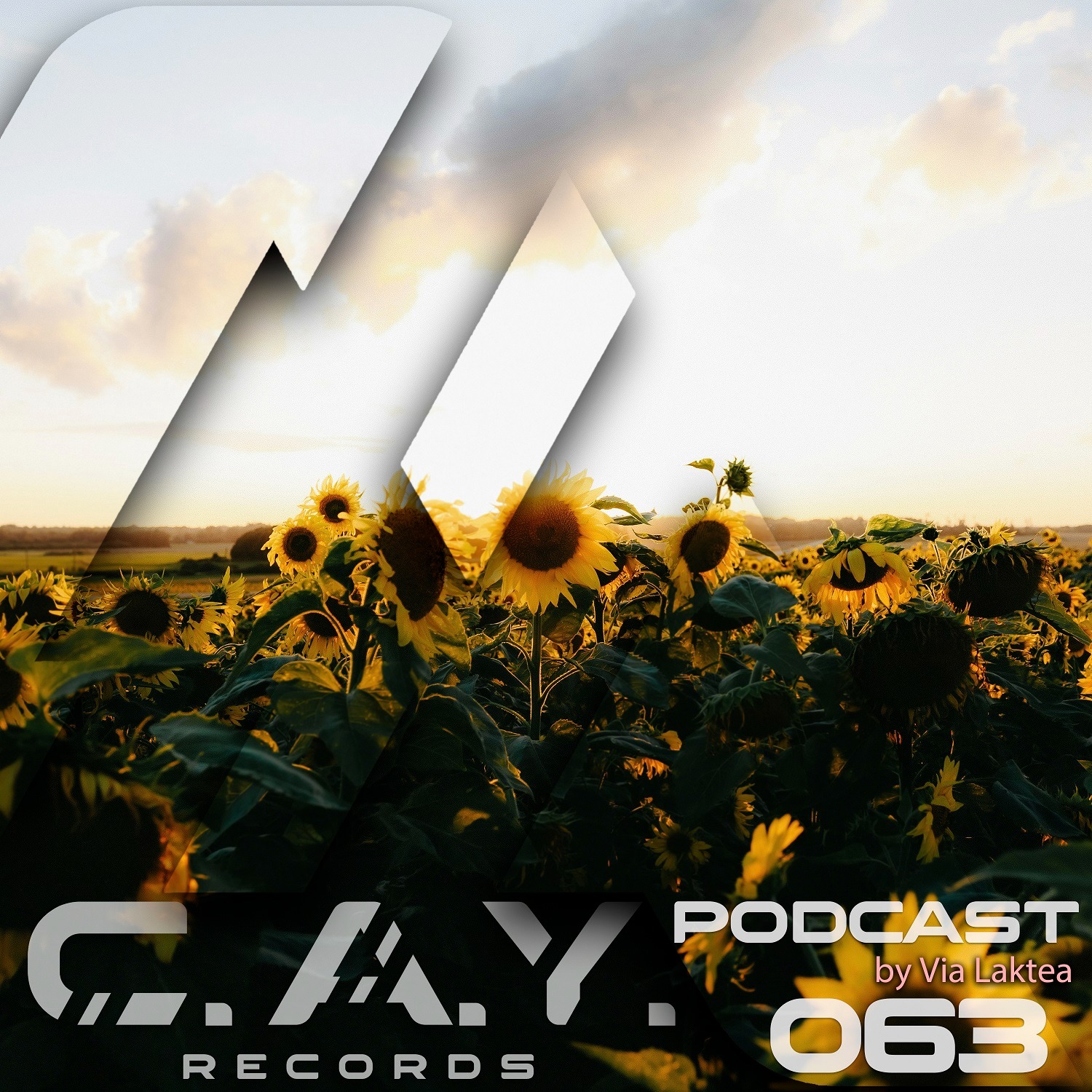 (063) C.A.Y. Records podcast by Via Laktea episode artwork