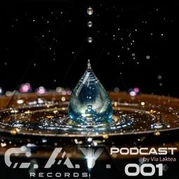 C.A.Y. Records podcast by Via Laktea