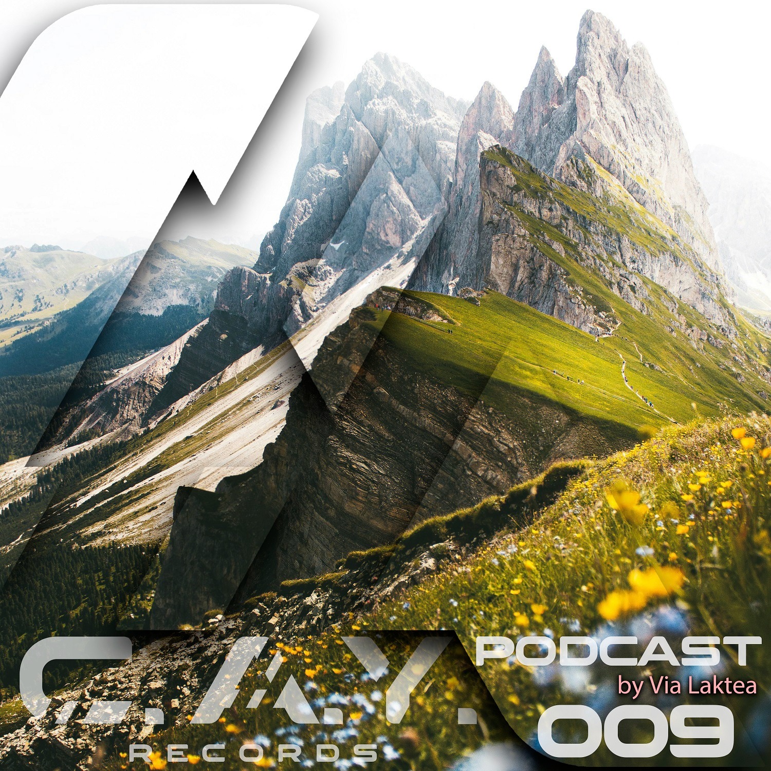 (009) C.A.Y. Records podcast by Via Laktea episode artwork