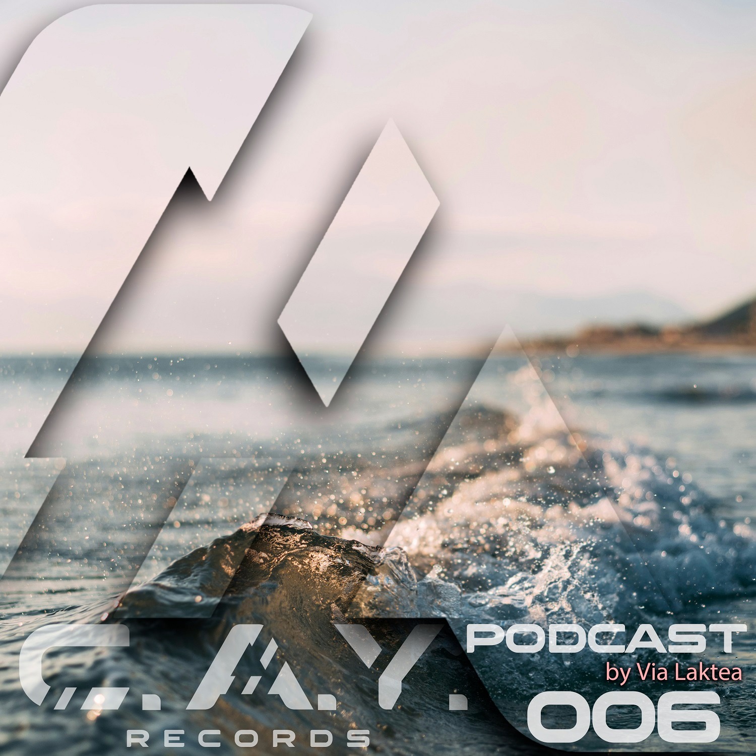 (006) C.A.Y. Records podcast by Via Laktea episode artwork