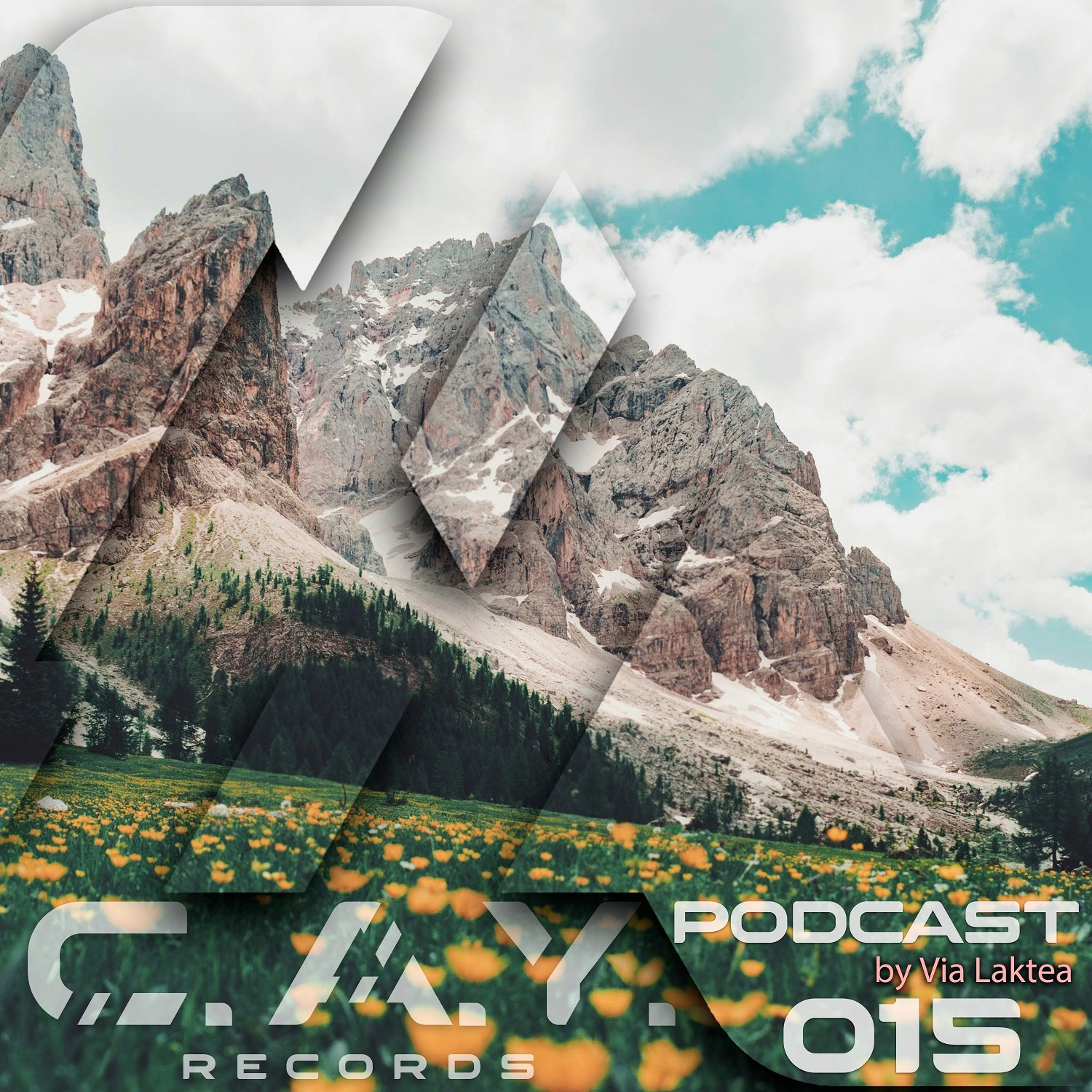 (015) C.A.Y. Records podcast by Via Laktea episode artwork