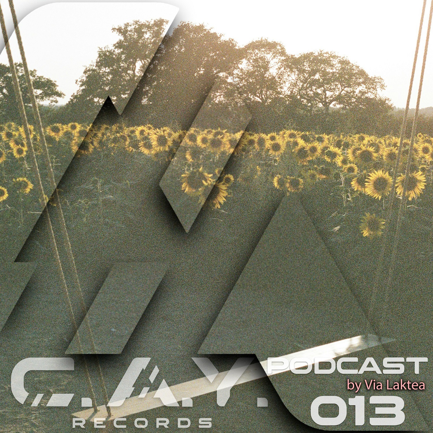 (013) C.A.Y. Records podcast by Via Laktea episode artwork