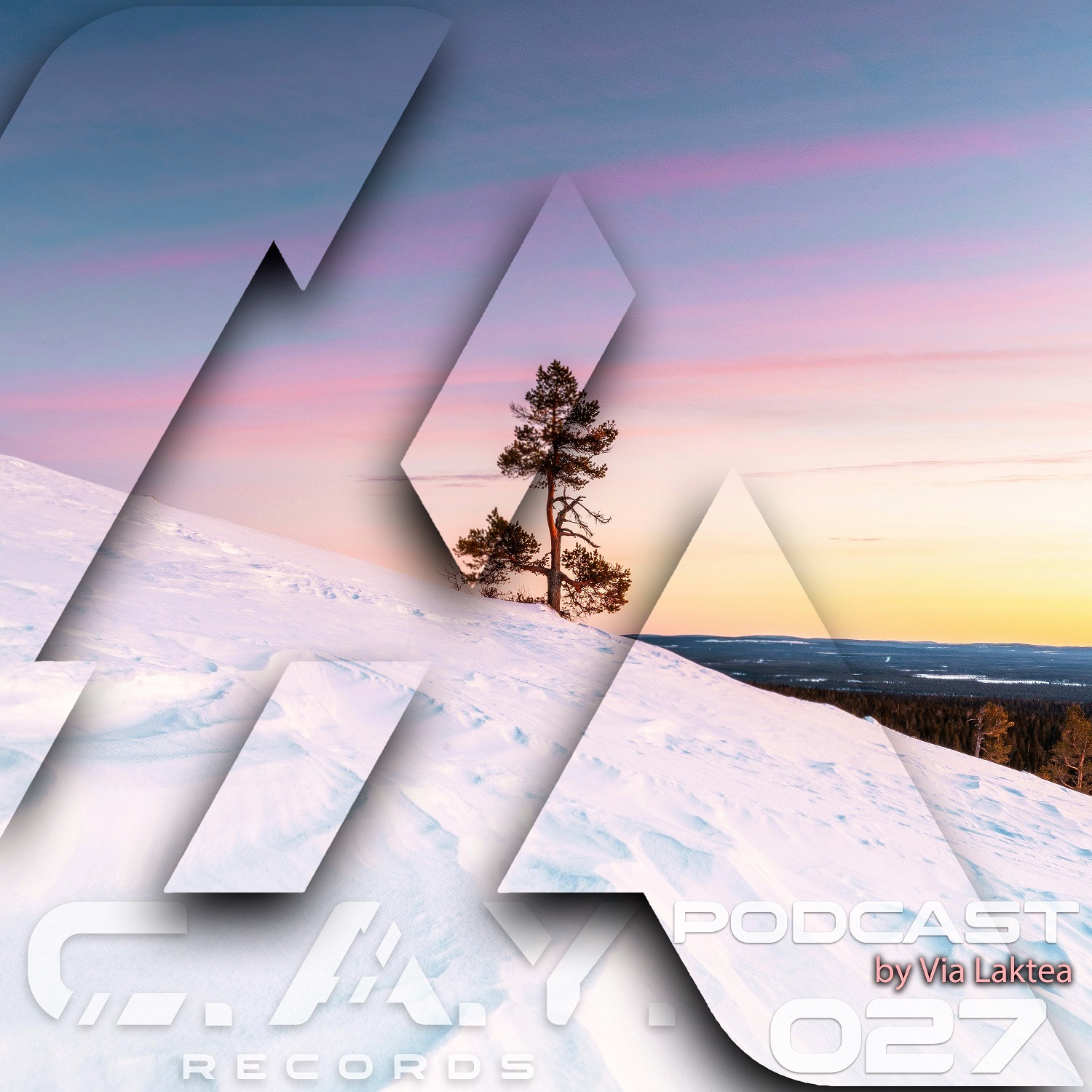 (027) C.A.Y. Records podcast by Via Laktea episode artwork