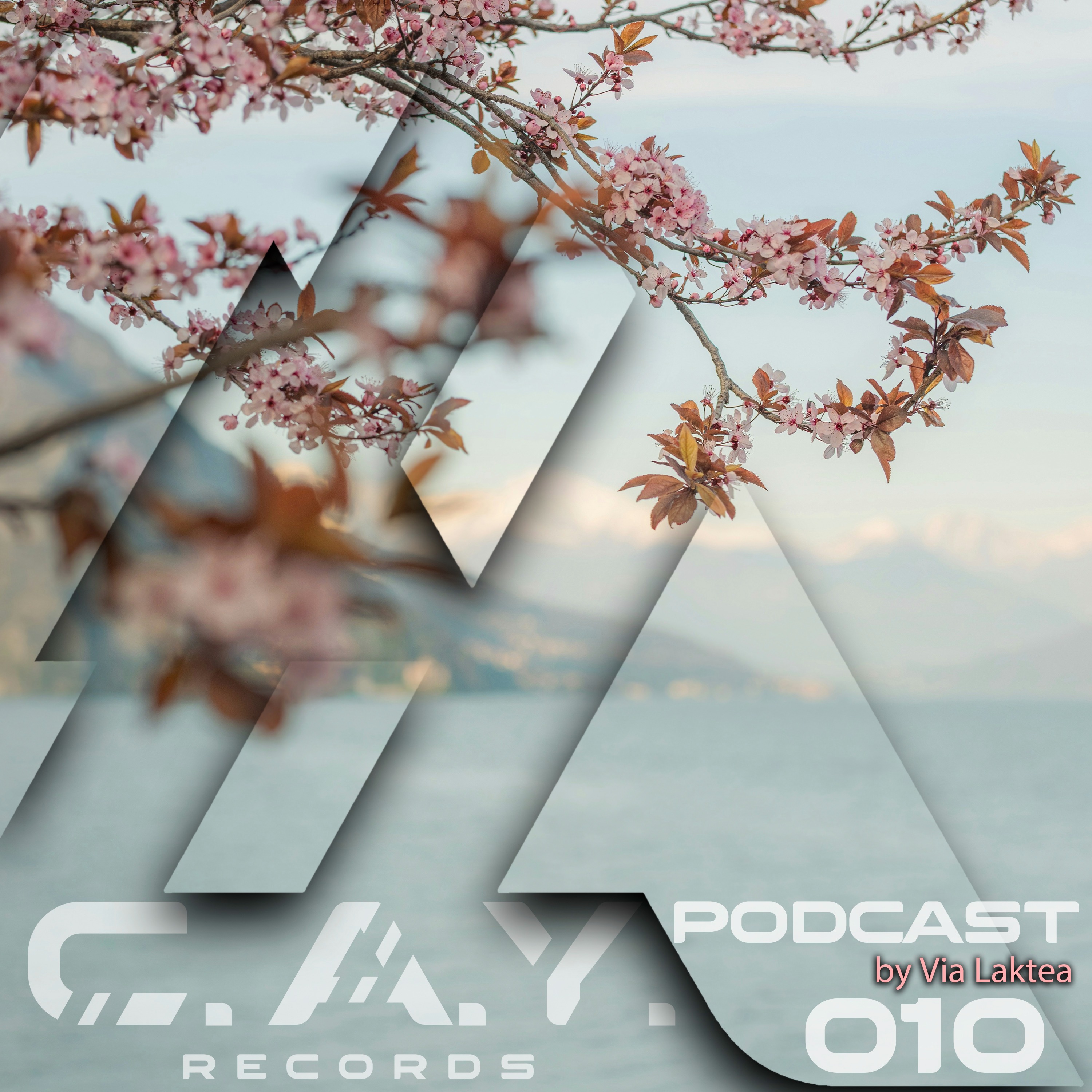 (010) C.A.Y. Records podcast by Via Laktea episode artwork