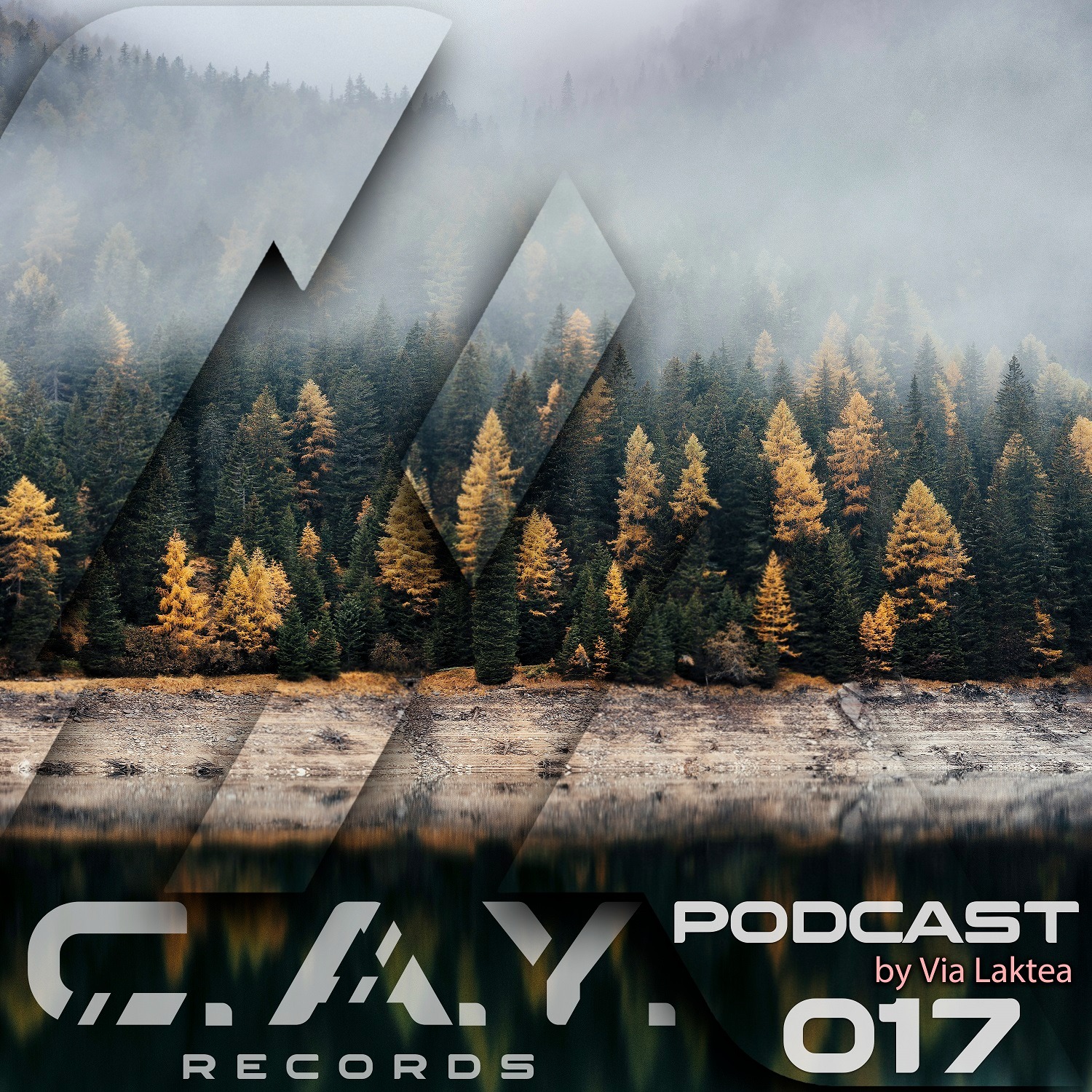 (017) C.A.Y. Records podcast by Via Laktea episode artwork