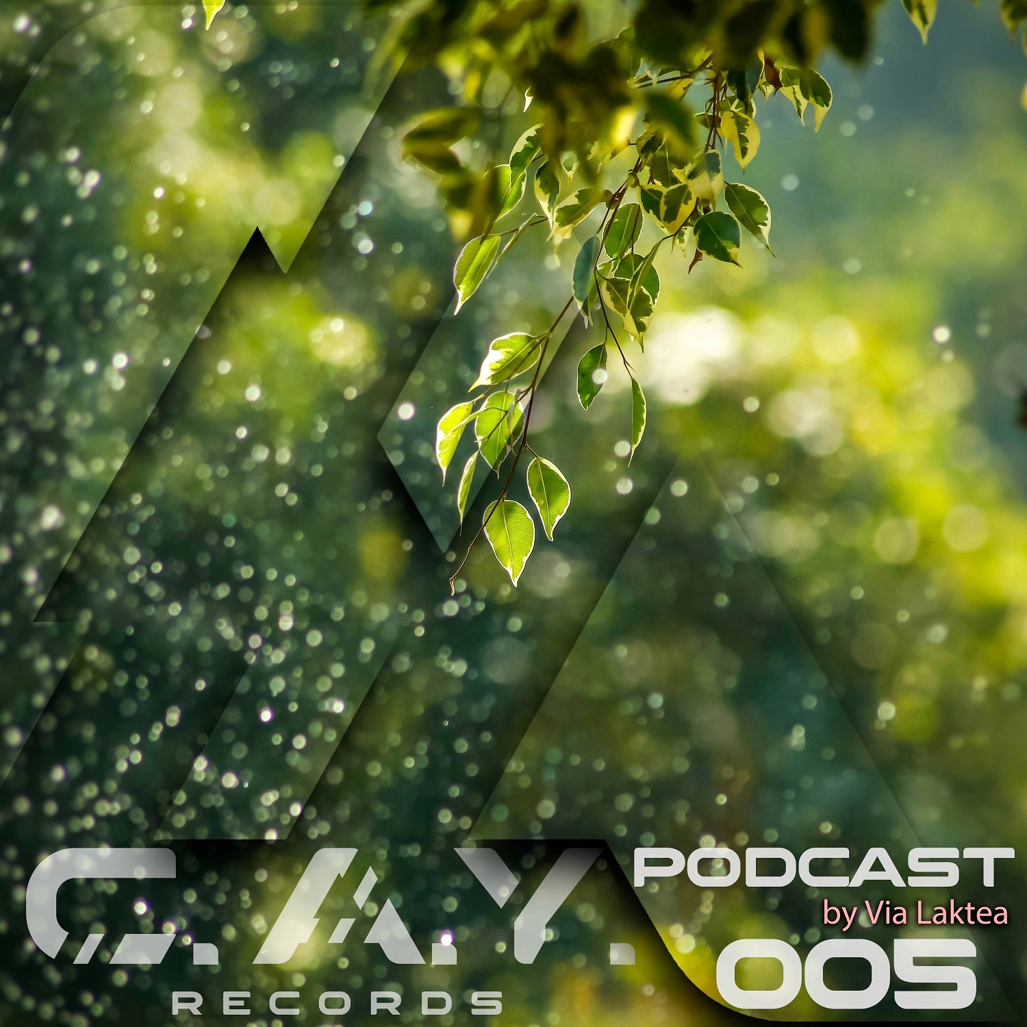 (005) C.A.Y. Records podcast by Via Laktea episode artwork