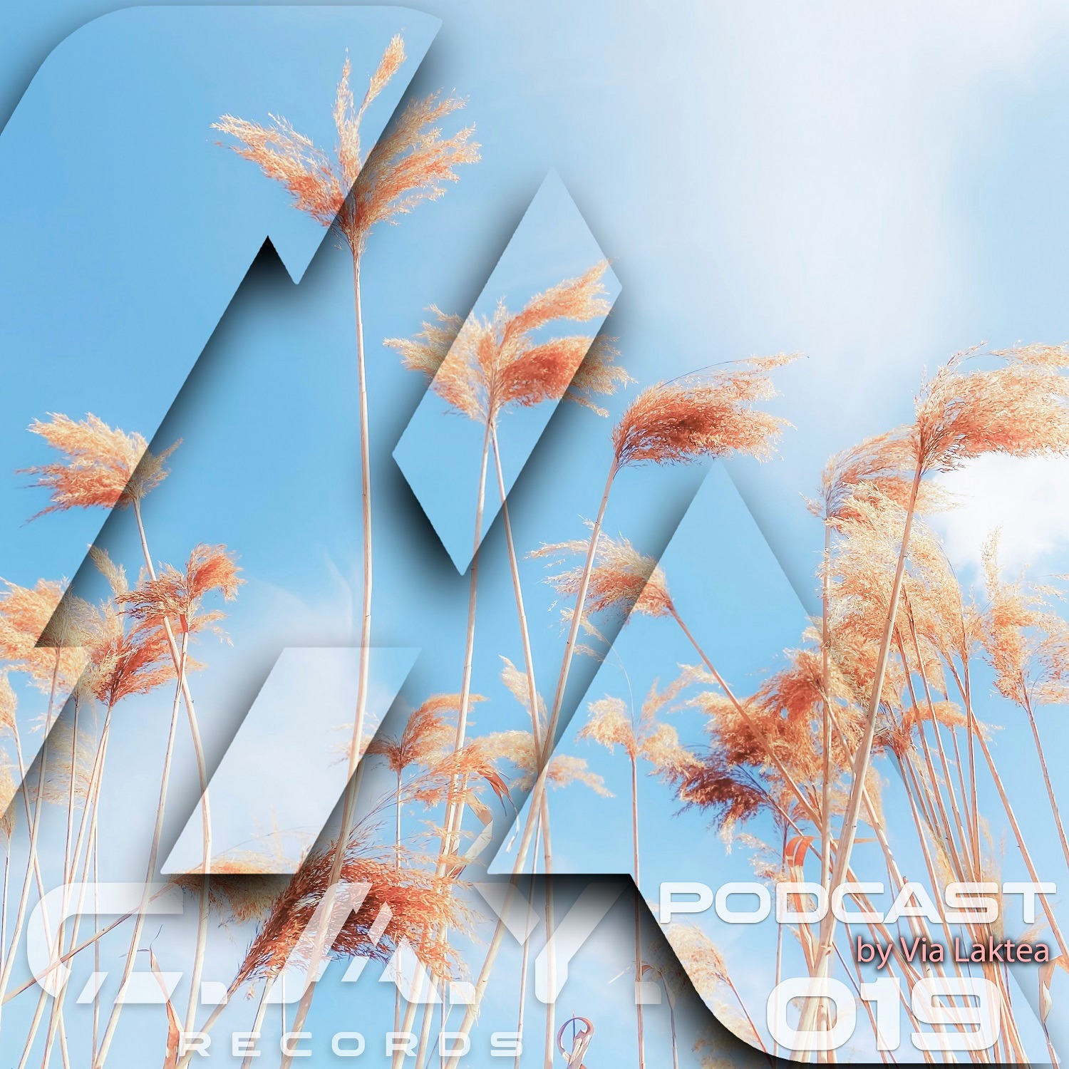 (019) C.A.Y. Records podcast by Via Laktea episode artwork