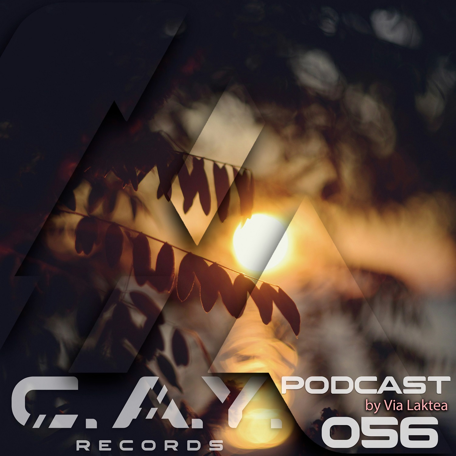 (056) C.A.Y. Records podcast by Via Laktea episode artwork