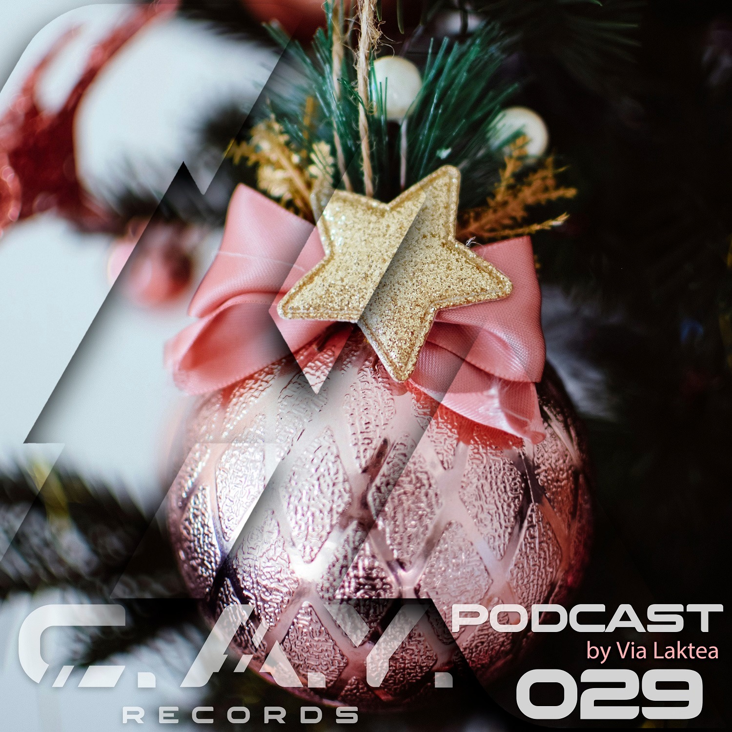 (029) C.A.Y. Records podcast by Via Laktea episode artwork
