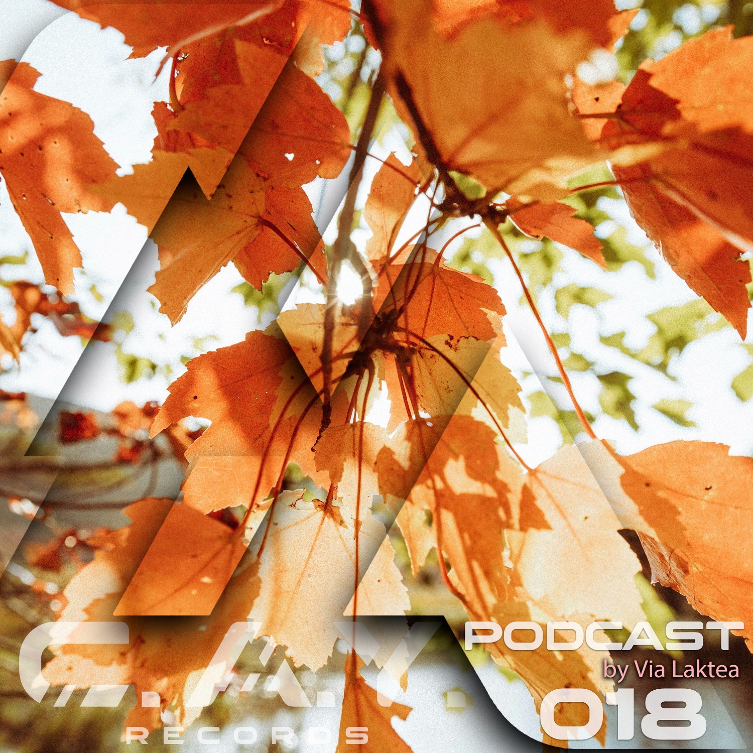 (018) C.A.Y. Records podcast by Via Laktea episode artwork
