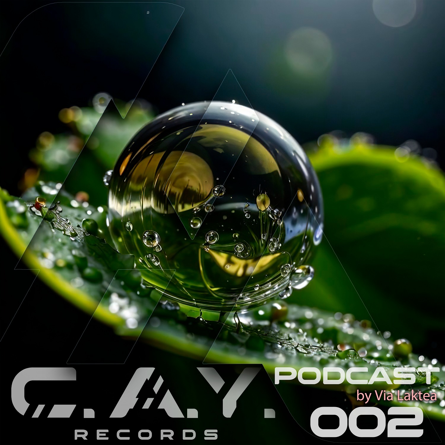 (002) C.A.Y. Records podcast by Via Laktea episode artwork