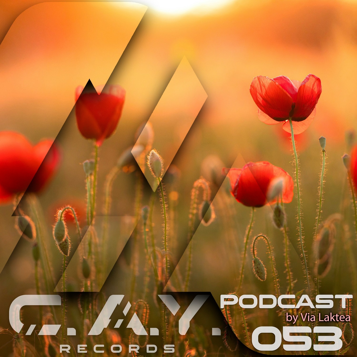 (053) C.A.Y. Records podcast by Via Laktea episode artwork
