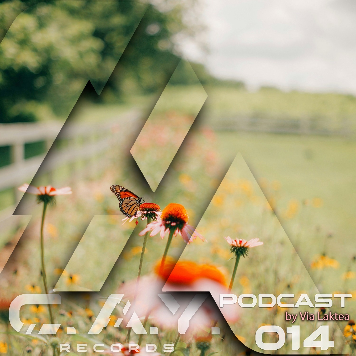 (014) C.A.Y. Records podcast by Via Laktea episode artwork