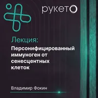 Персонифицированный иммуноген от сенесцентных клеток. Сделано в России. Владимир Фокин.Превентмед'26