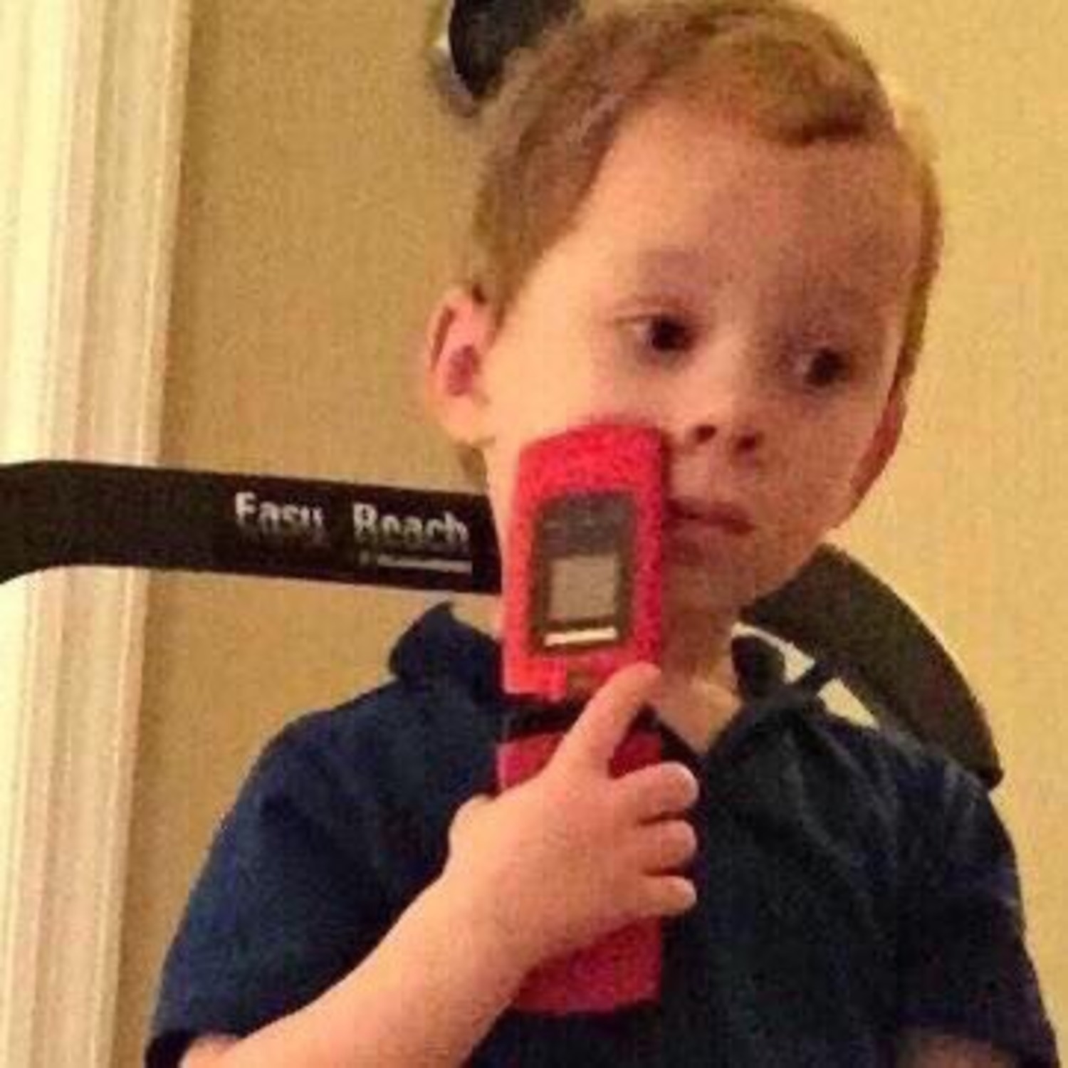 Pro.bipolar.disorder