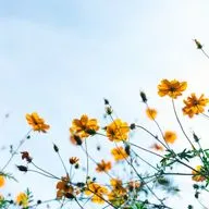 Как помочь себе и снизить уровень тревожности. Русский как иностранный для среднего и продвинутого уровней