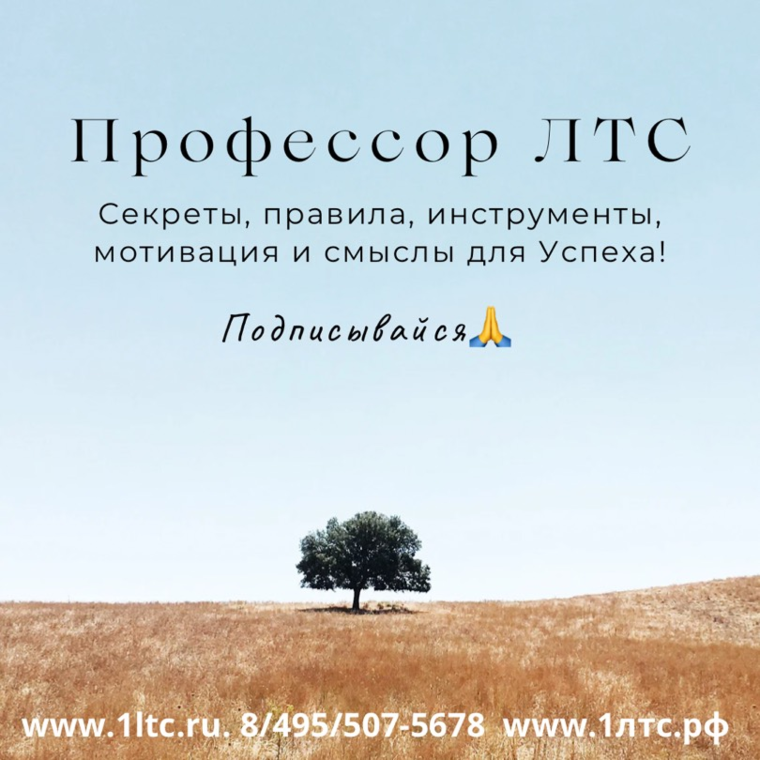 Профессор ЛТС