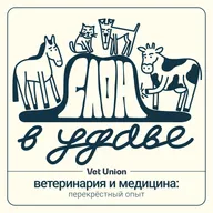 Как создаются новые форматы в медицине: опыт клиники «Три сестры»