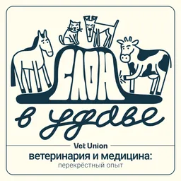 Слон в удаве