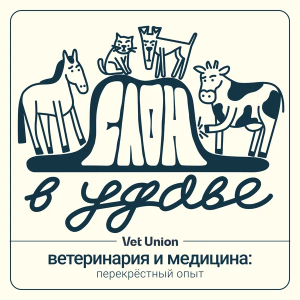 Слон в удаве