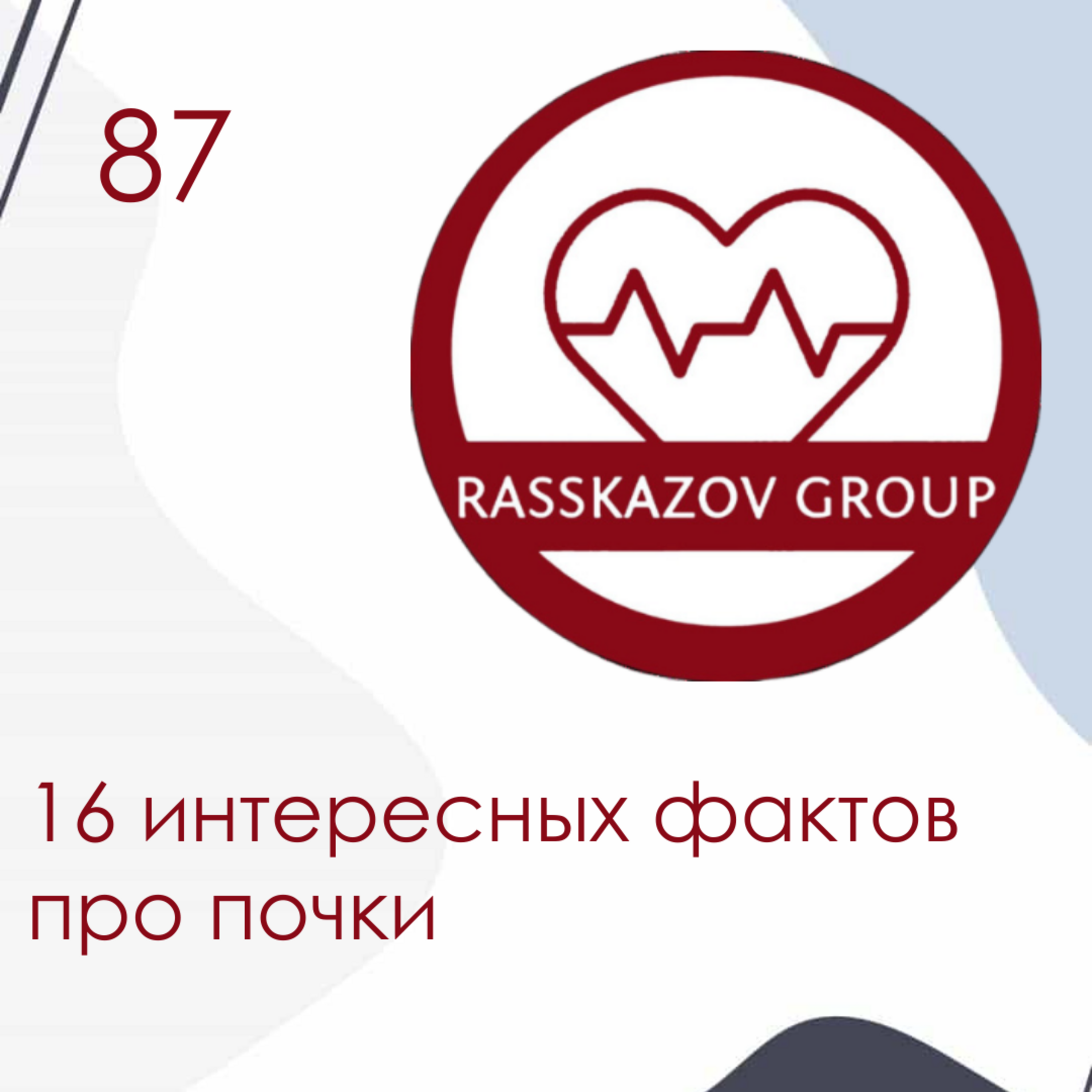 16 интересных фактов про почки. / Rasskazov Group episode artwork