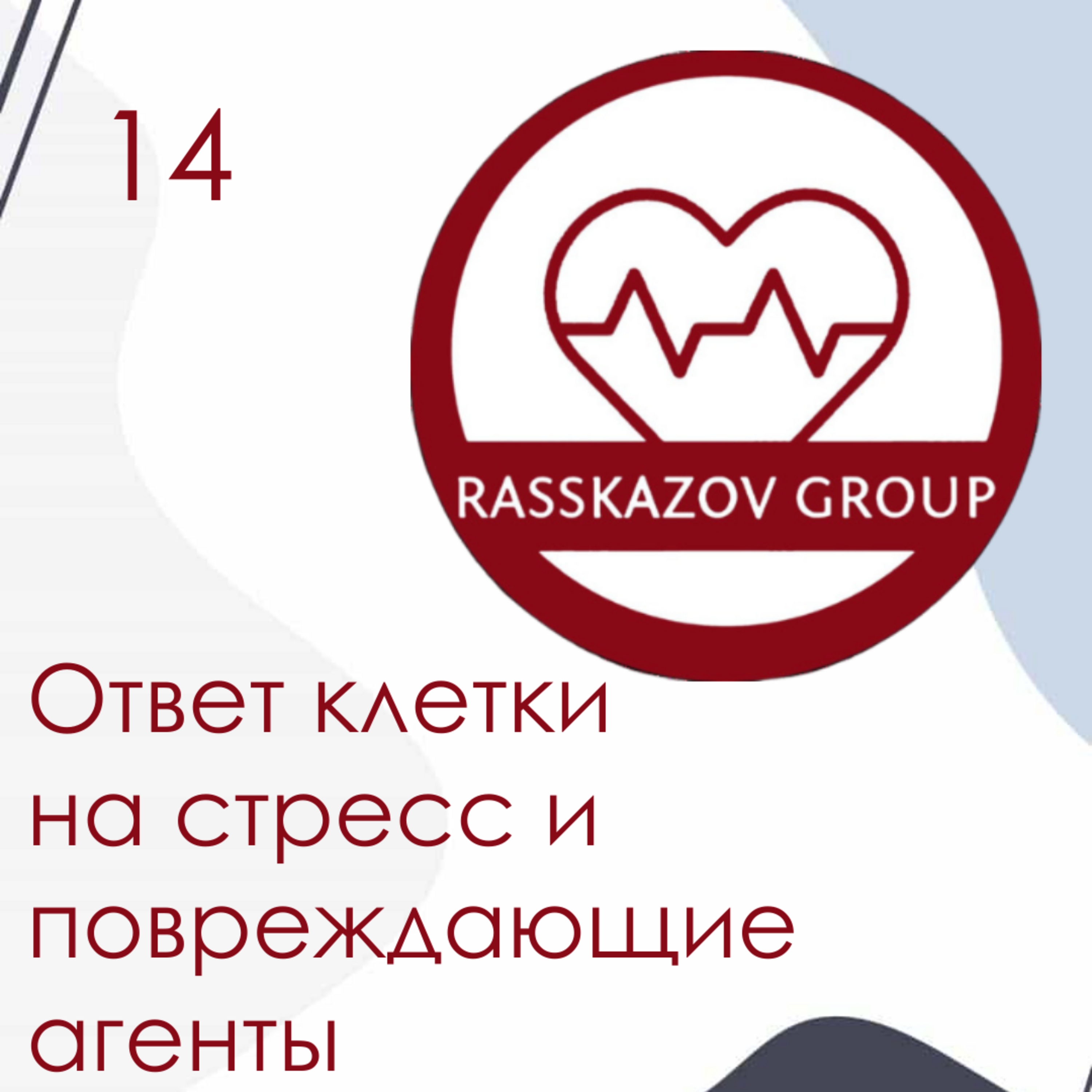 Ответ клетки на стресс и повреждающие агенты. / Rasskazov Group episode artwork