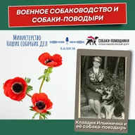 Военное собаководство и собаки-поводыри
