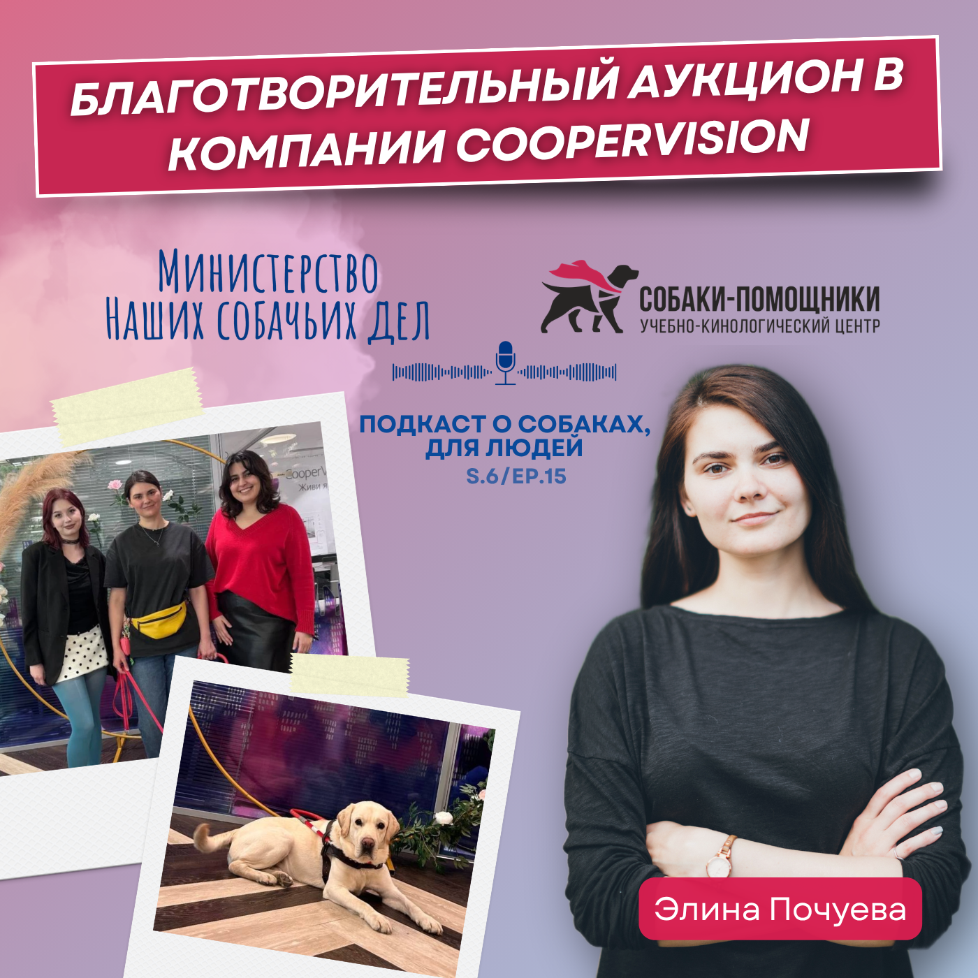 Благотворительный аукцион для сотрудников: опыт компании CooperVision