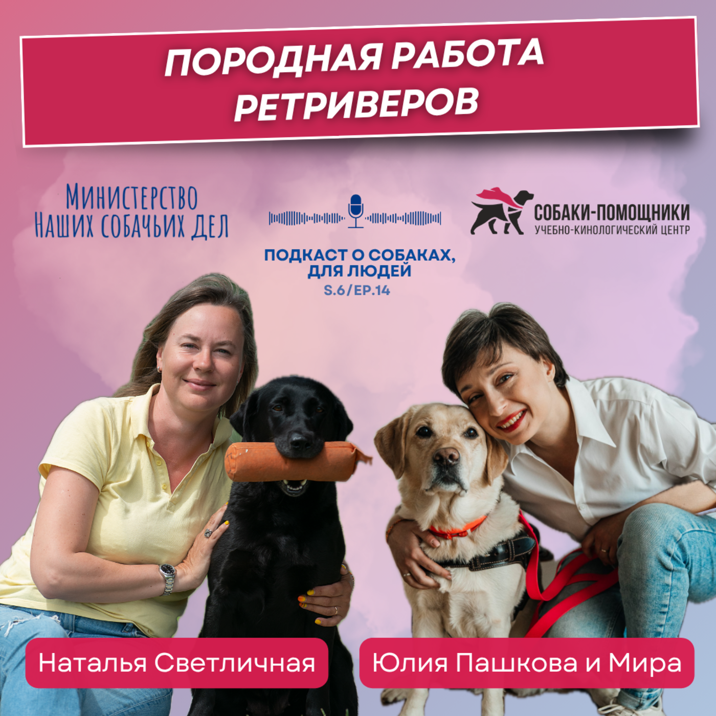 Породная работа ретриверов