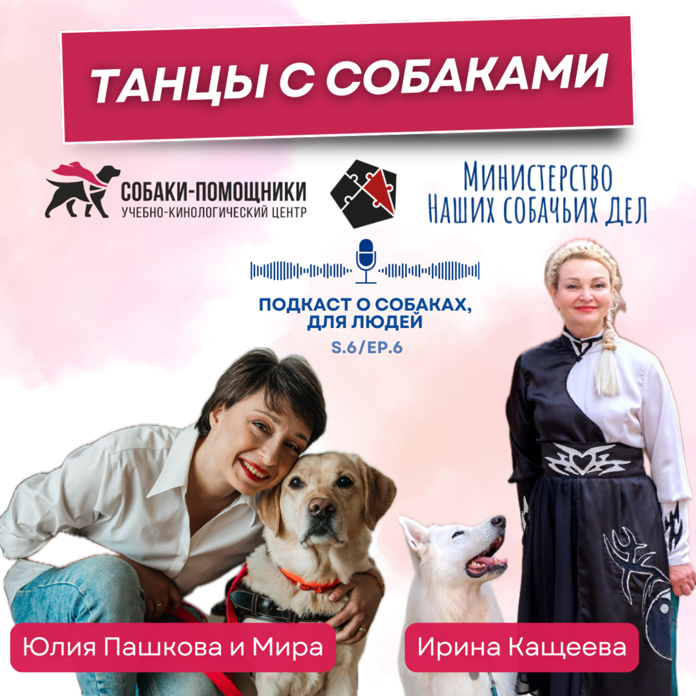 Танцы с собаками