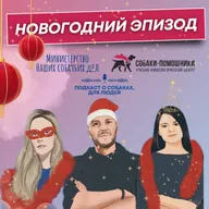 Новогодний эпизод