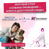 Круглый стол «Собака‑проводник — ключ к доступной среде: от диалога к действию»
