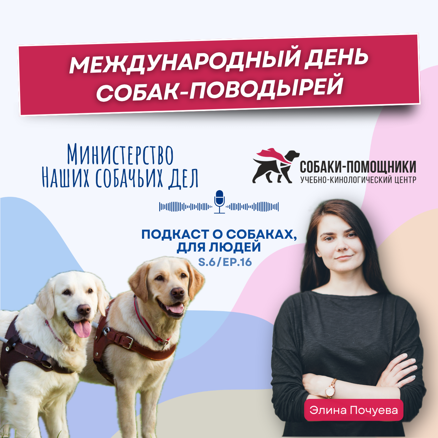 Международный день собак-поводырей episode artwork