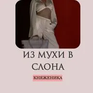 [День 14] Из мухи в слона