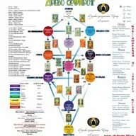 Сефиротическая традиция