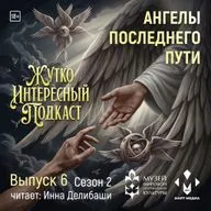 «Ангелы последнего пути»