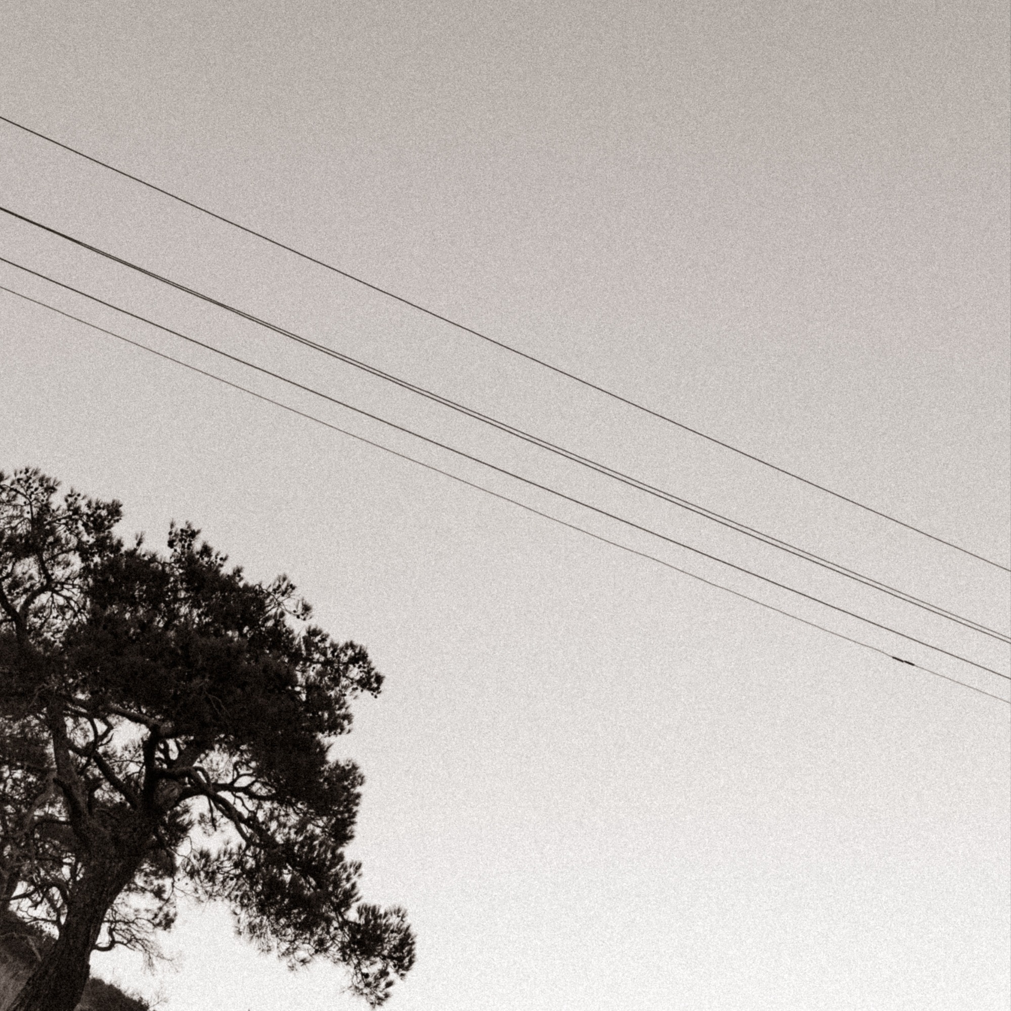 Курс 1-10 ноября. Переживание не знает прошлого и будущего