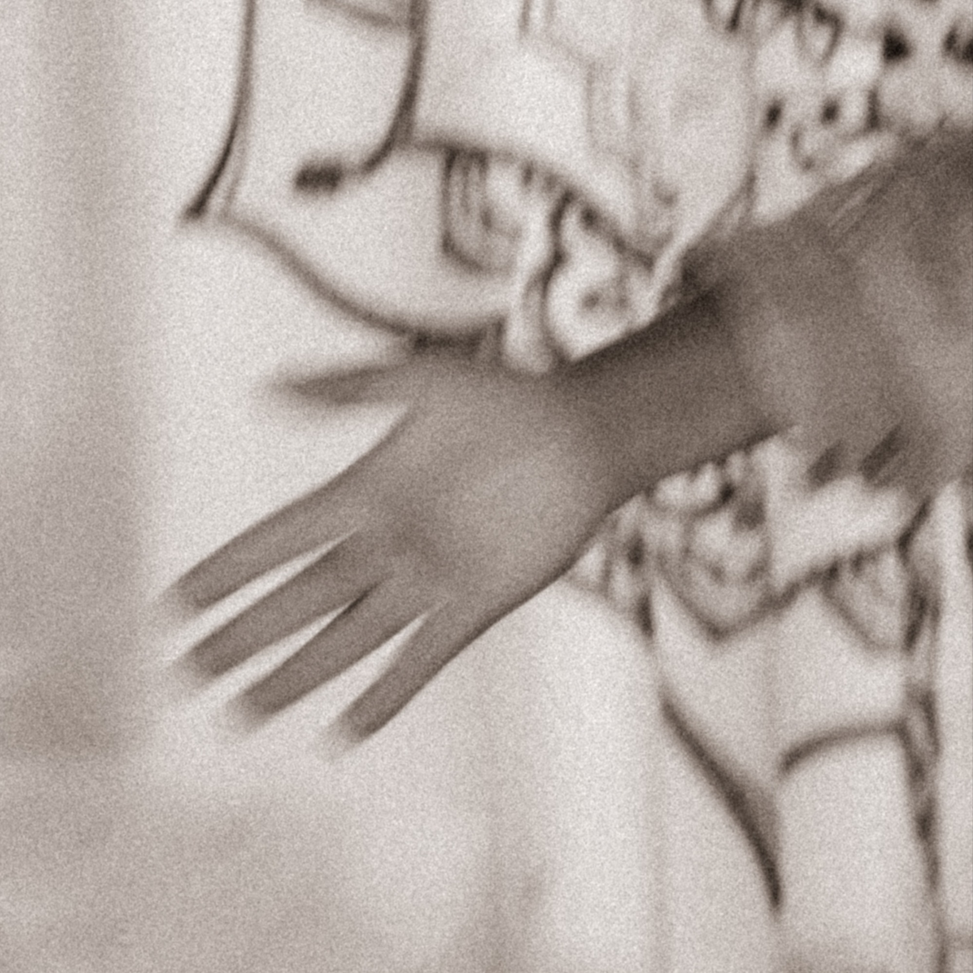 Сатсанг 1 "Живое присутствие"