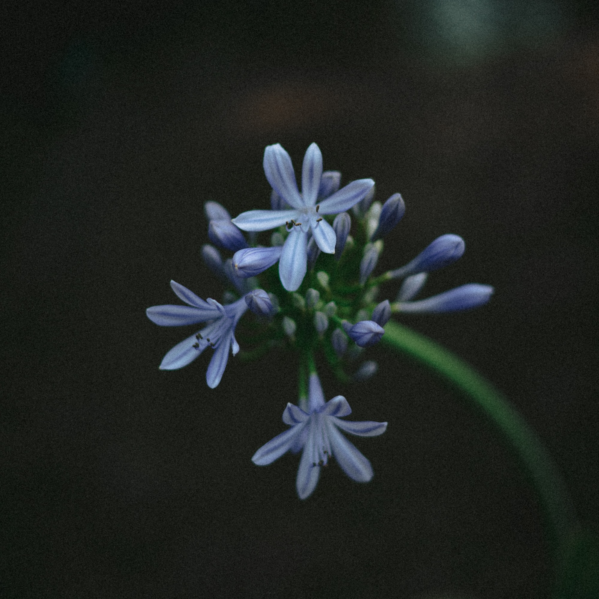 Медитация 4 "Твоё Я"