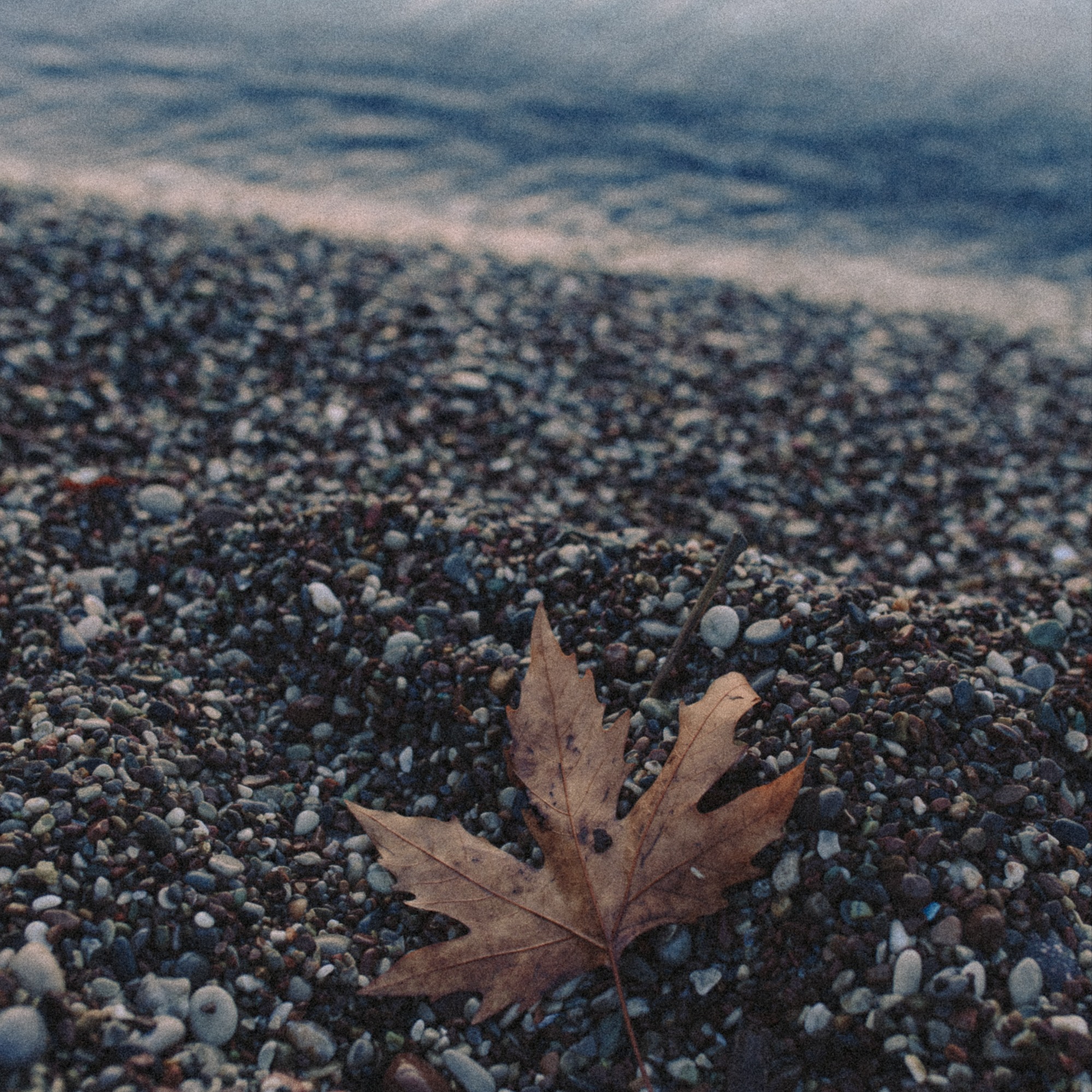 Сатсанг 2 июня 2025, Ретрит в Турции