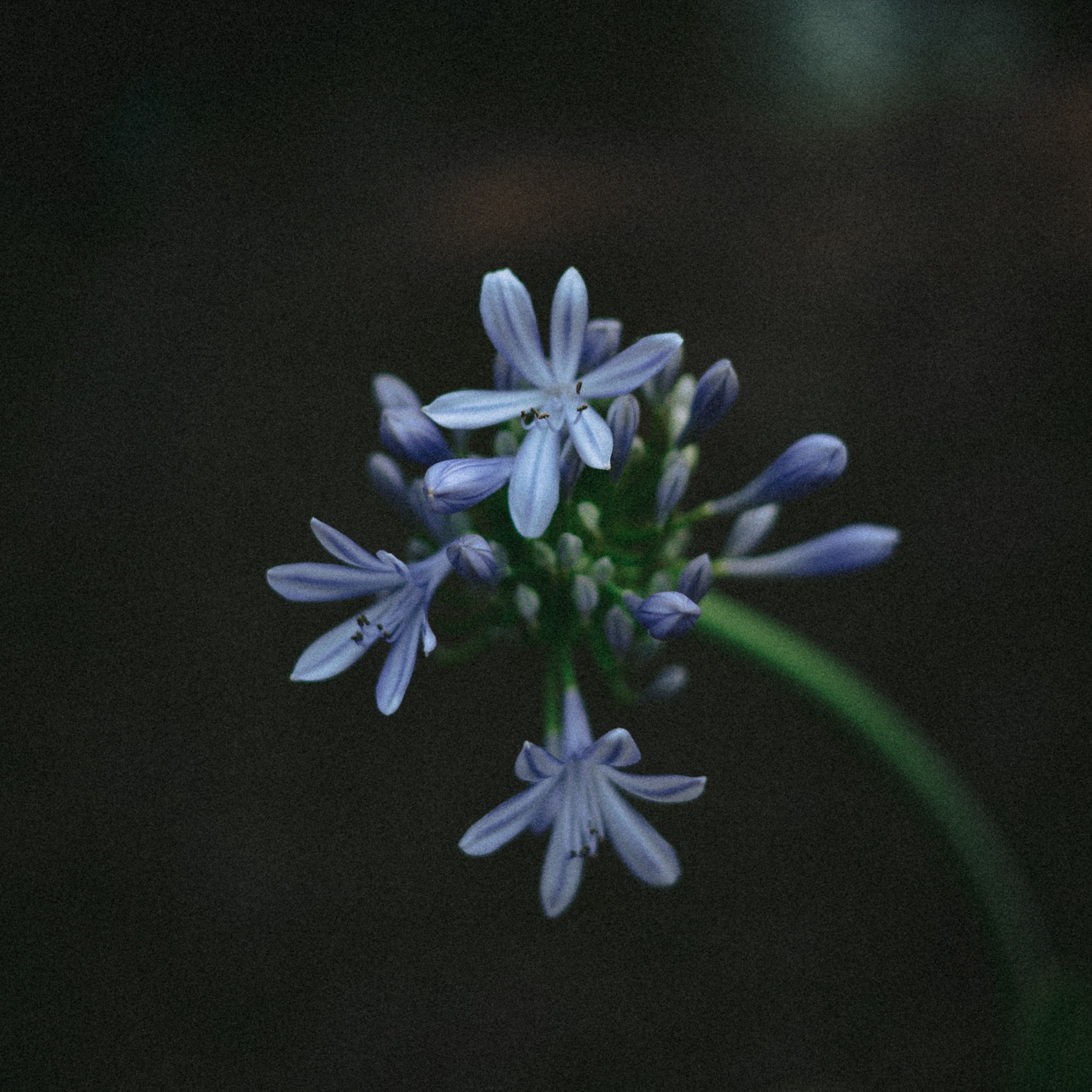 Медитация 1 "Ты просто есть"