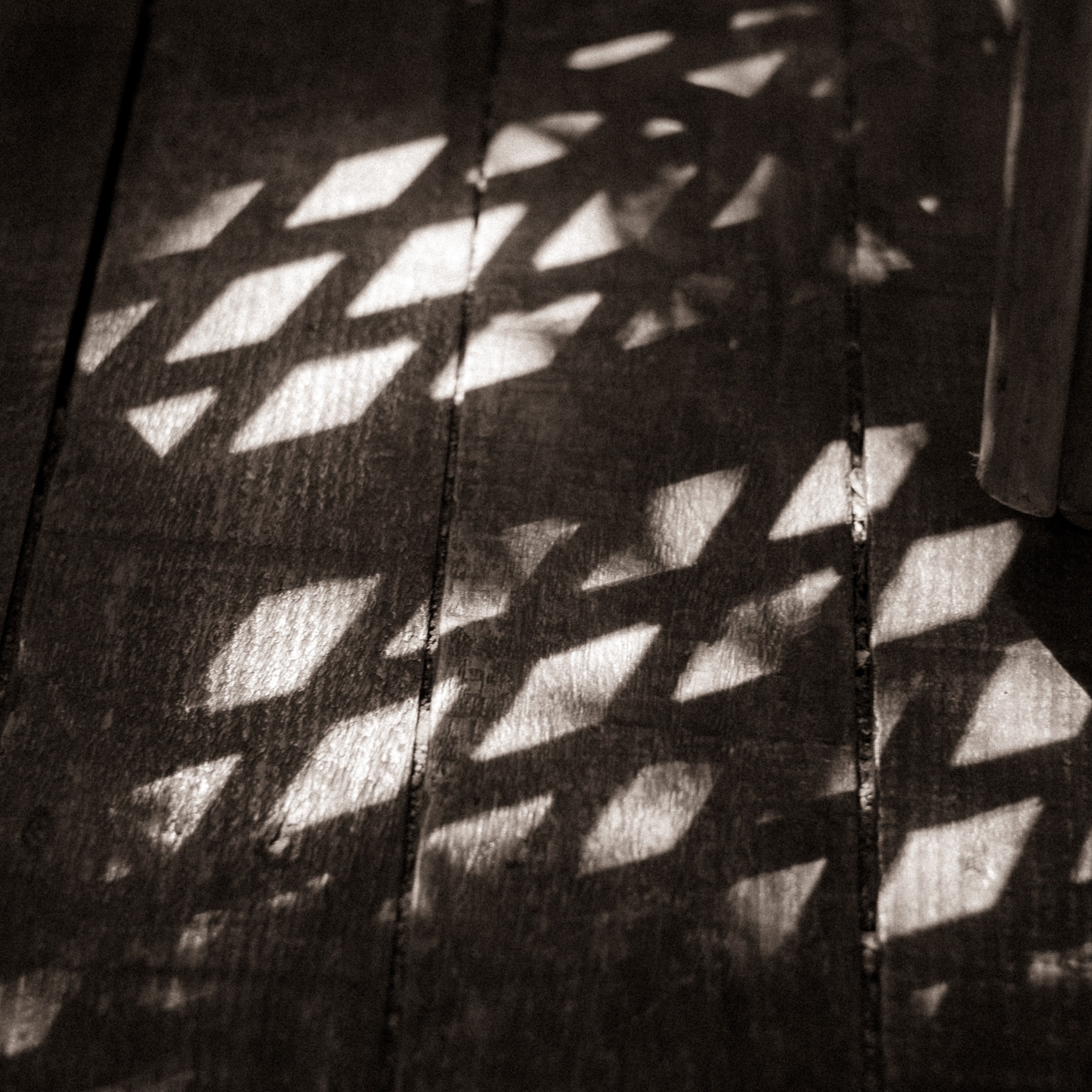 Сатсанг "Кто умирает?"