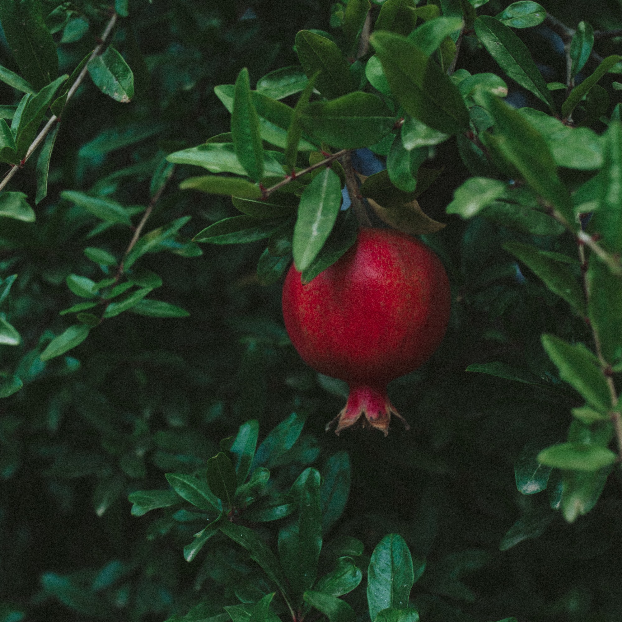 Сердце переживания. Часть 3