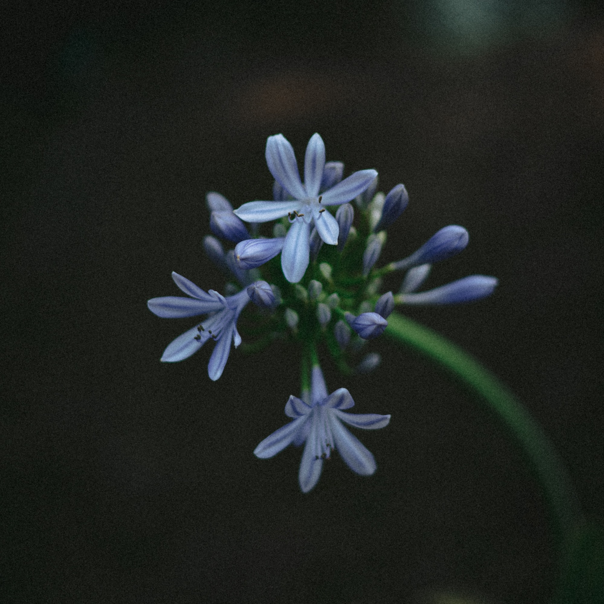 Медитация 2 "Место твоего покоя"