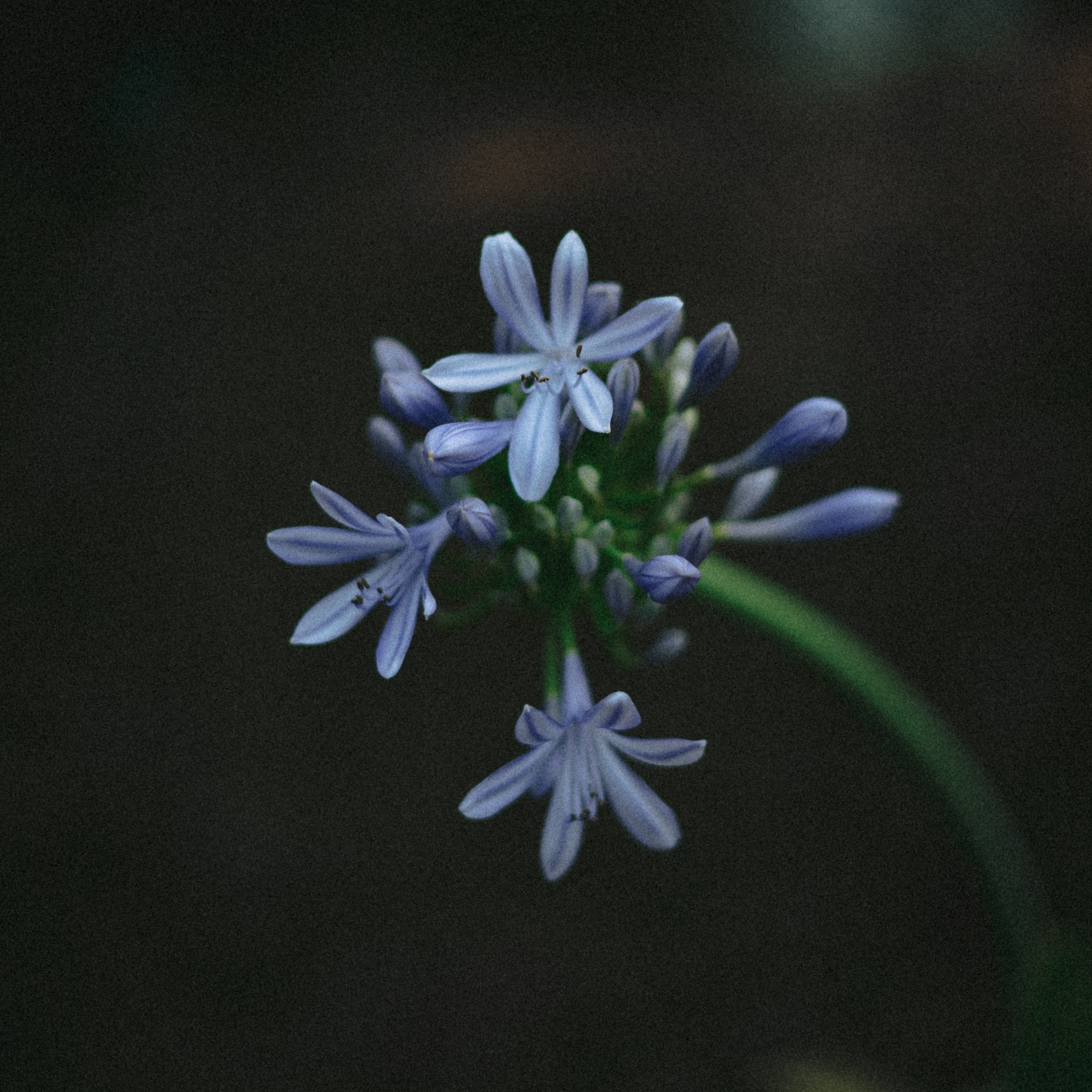 Медитация 3 "Отдохни без всего"